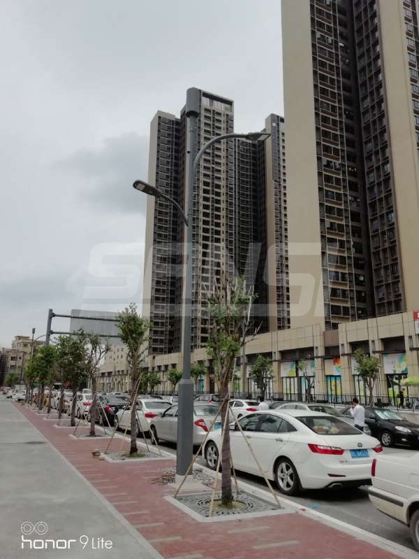 廣東佛山奇槎片區智慧路燈