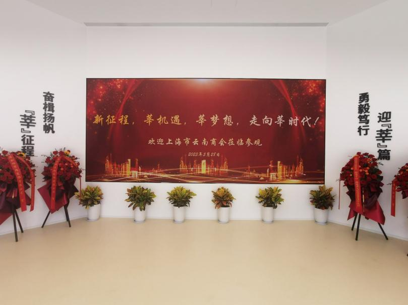 三思,智慧顯示,助力臨港,莘?？萍紙@,人才體系建設(shè)