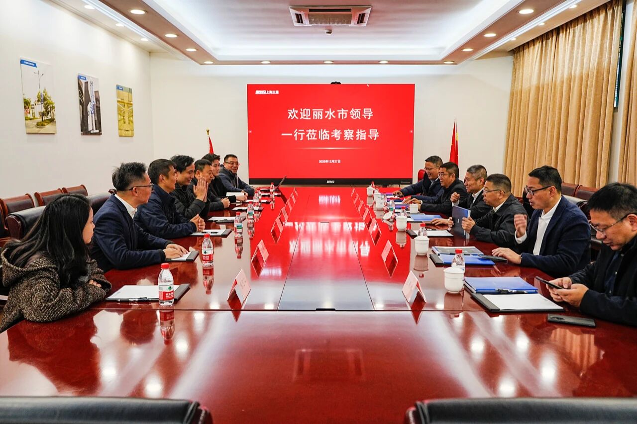 深化政企協同,共拓發展新局,麗水市,領導一行,赴三思考察交流